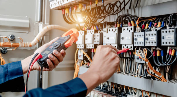 Best Ceiling Fan Installation Electrician  in Frazee, MN