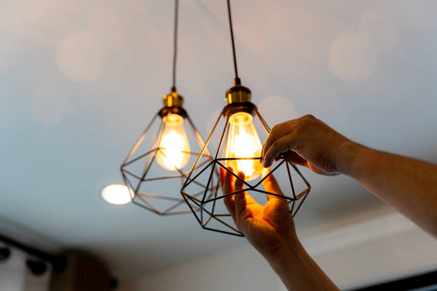 Best Electric Panel Repair  in Frazee, MN