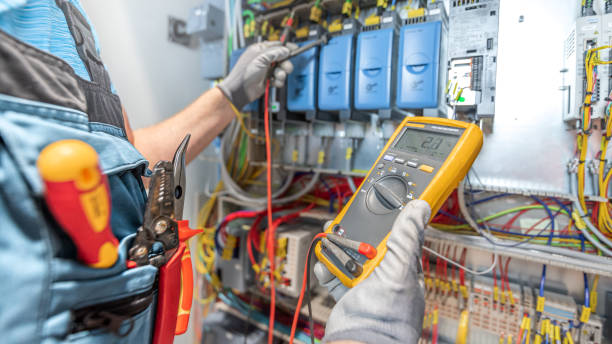 Best Electric Panel Repair  in Frazee, MN