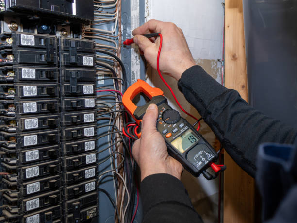 Best Licensed Electrician  in Frazee, MN
